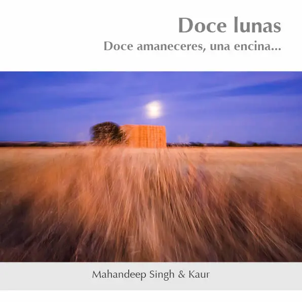 Portada del libro Doce lunas